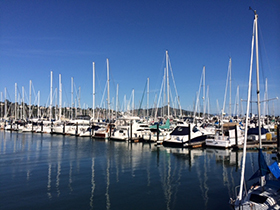 SF Yacht Club